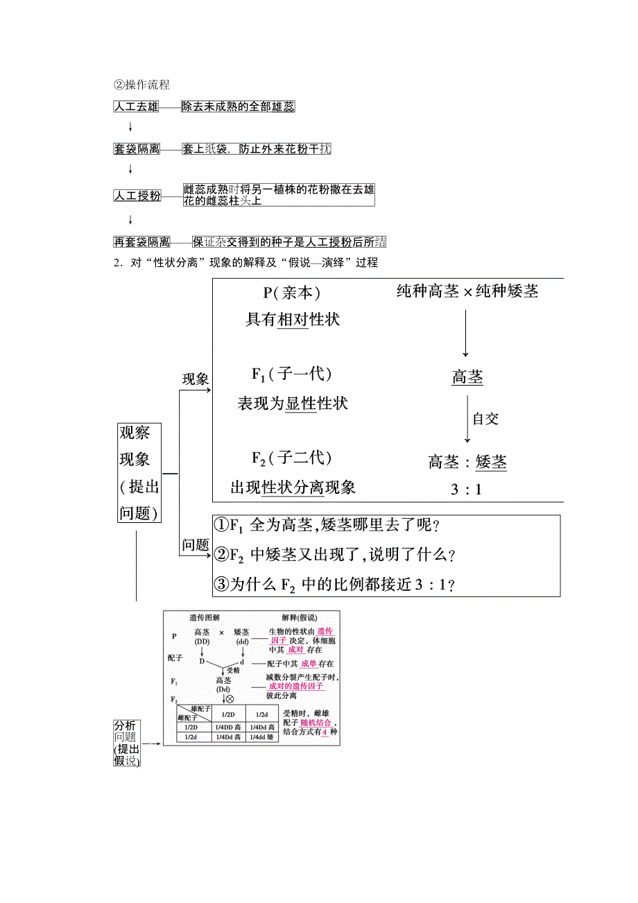 2021新高考生物人教版一轮学案：必修部分 模块2 第1单元 第1讲　孟德尔豌豆杂交实验（一） WORD版含答案.doc_第2页