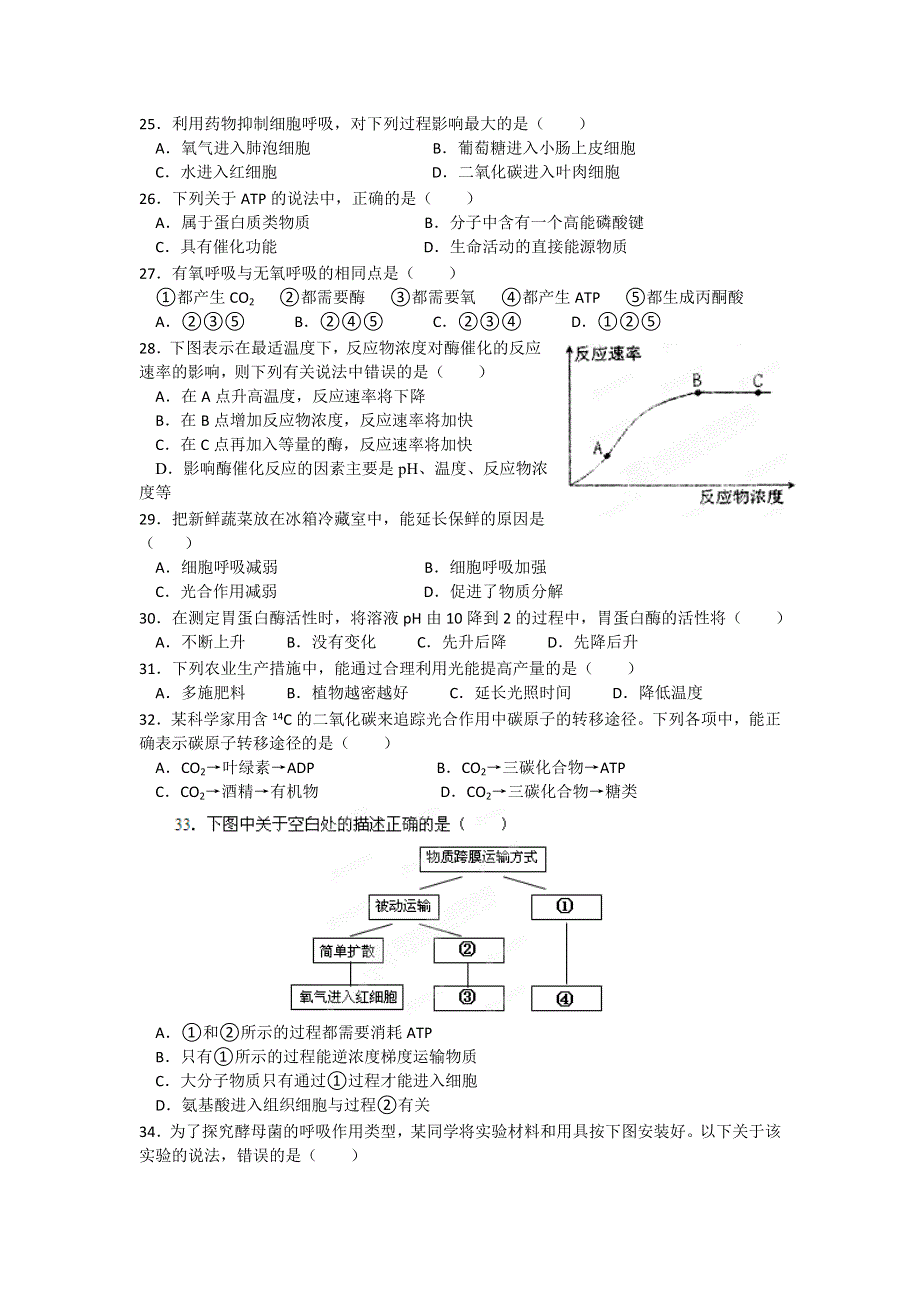 江苏省南京市第三高级中学（六中校区）11-12学年高二上学期期末考试 生物（必修）试题.doc_第3页