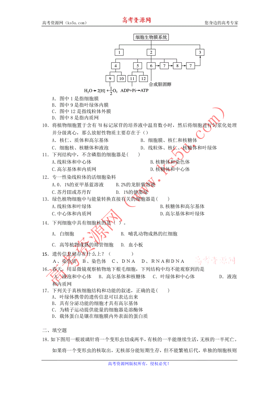 2012高一生物每课一练 3.2 细胞的类型和结构 2（苏教版必修1）.doc_第2页