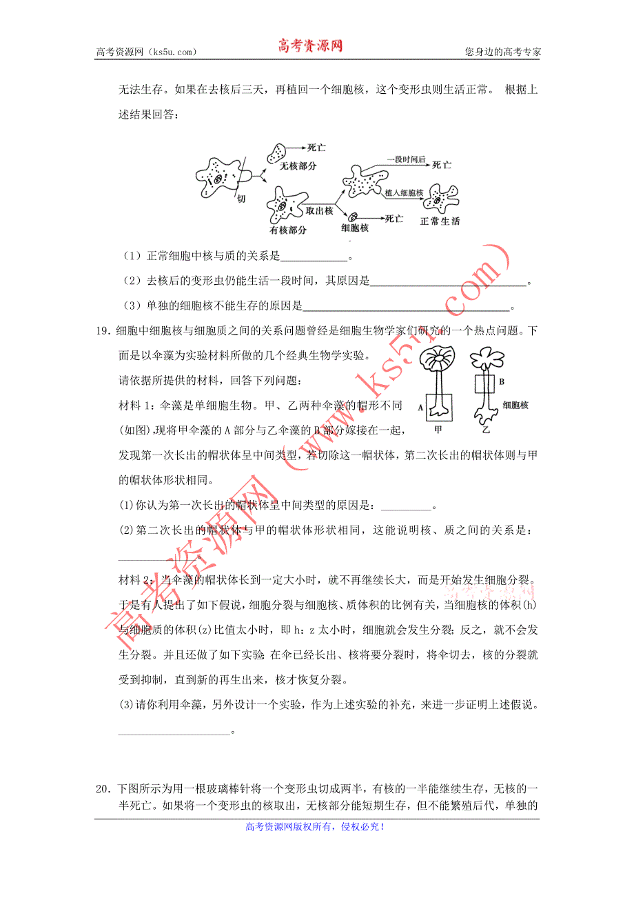 2012高一生物每课一练 3.2 细胞的类型和结构 2（苏教版必修1）.doc_第3页