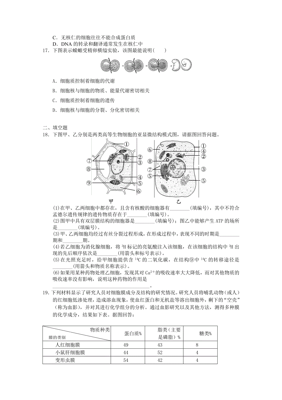 2012高一生物每课一练 3.2 细胞的类型和结构 47（苏教版必修1）.doc_第3页