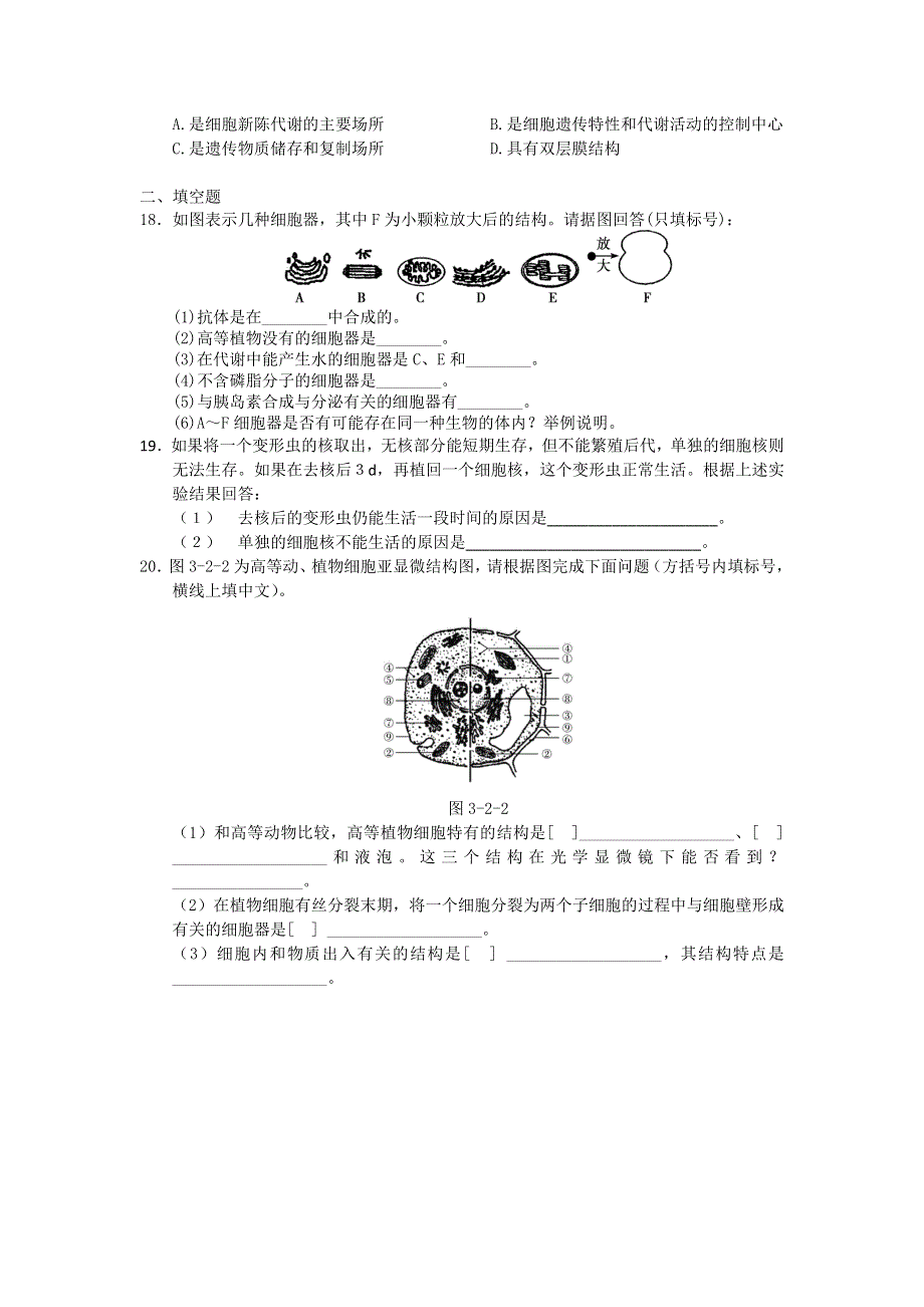 2012高一生物每课一练 3.2 细胞的类型和结构 43（苏教版必修1）.doc_第3页