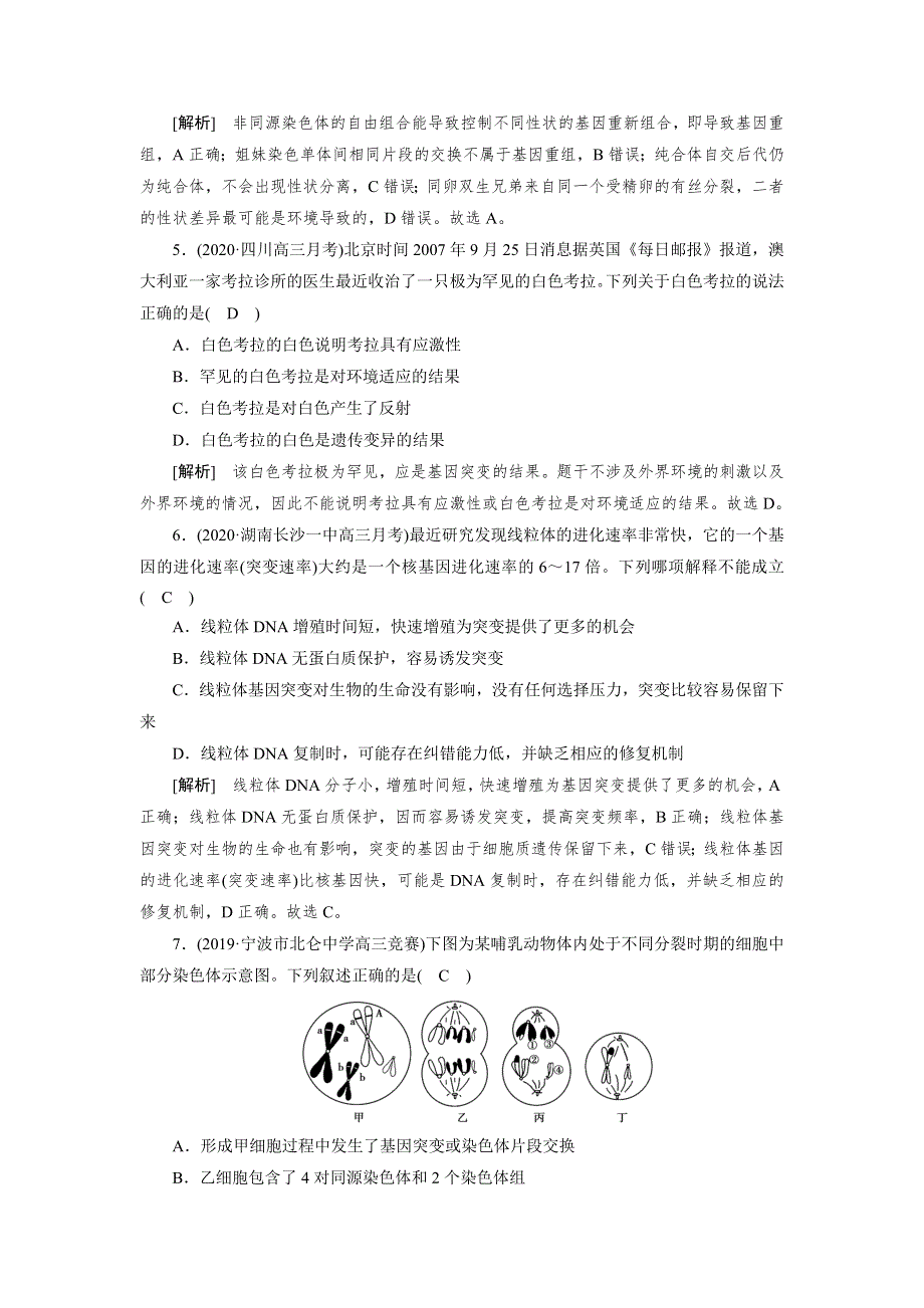 2021新高考生物人教版一轮练习 （20） 基因突变和基因重组 WORD版含解析.DOC_第2页