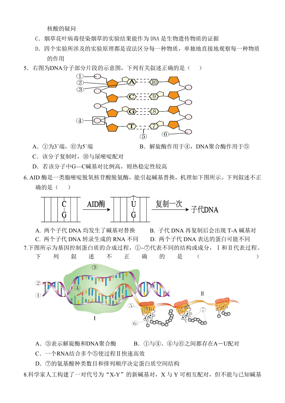 北京市首都师范大学附属密云中学2022-2023学年高三上学期10月阶段性练习 生物试题 WORD版含答案.doc_第2页