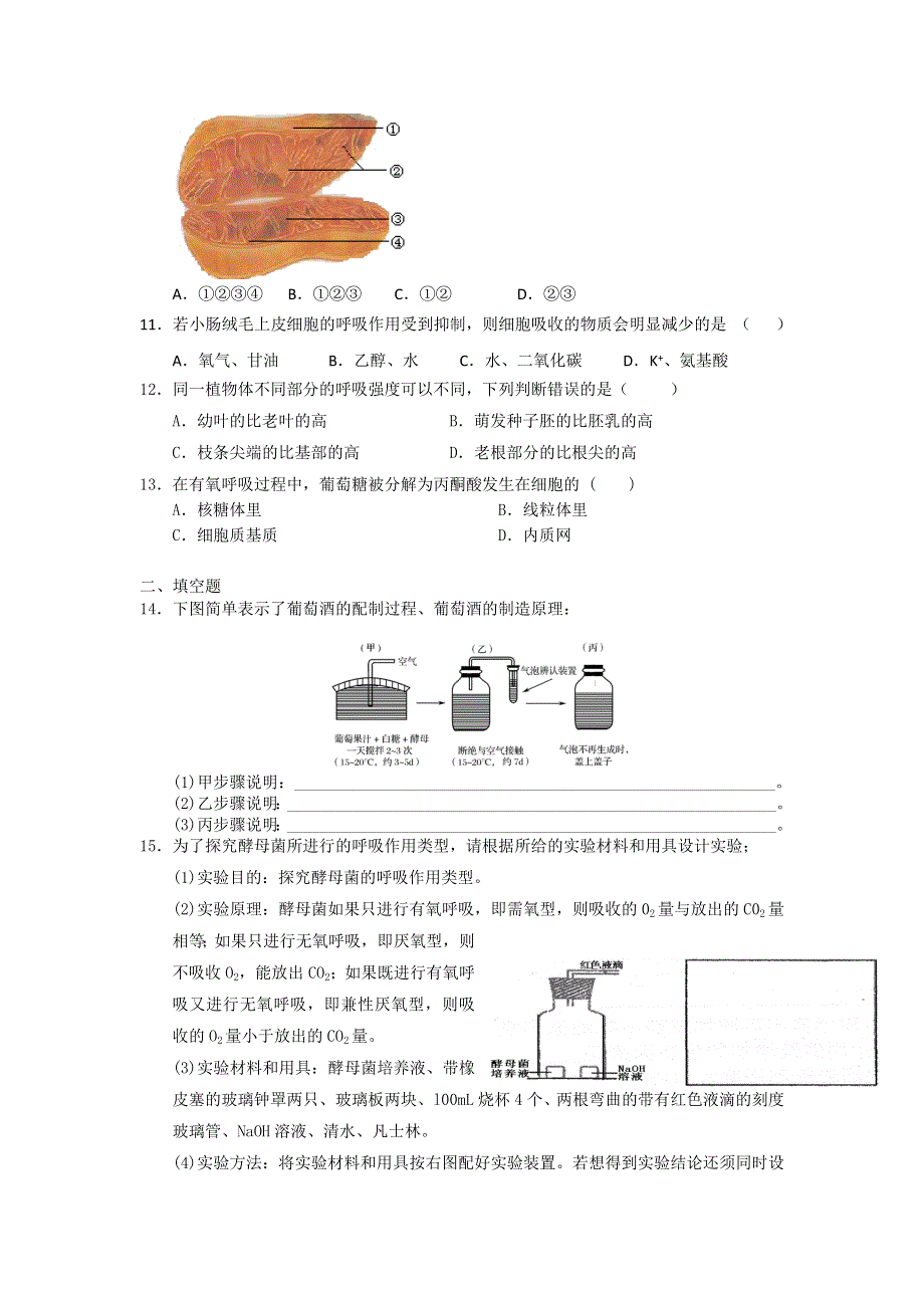 2012高一生物每课一练 4.3 细胞呼吸 3（苏教版必修1）.doc_第2页