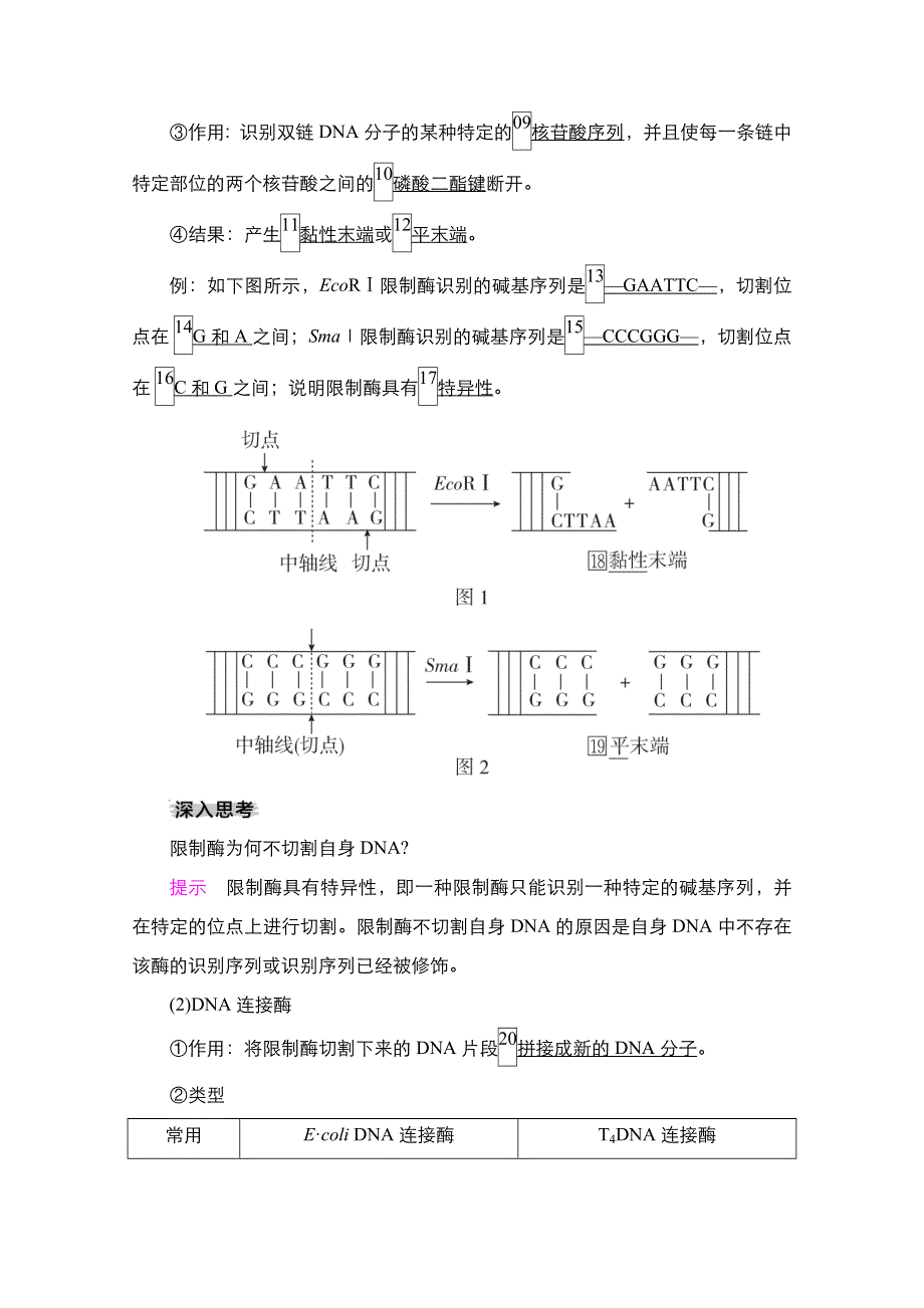 2021新高考生物选择性考试B方案一轮复习学案：第10单元　第35讲　基因工程（含多聚酶链式反应扩增DNA片段） WORD版含解析.doc_第2页