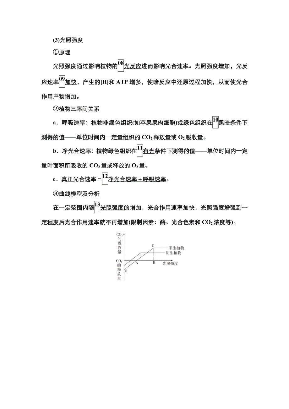 2021新高考生物选择性考试B方案一轮复习学案：第3单元　第11讲　影响光合作用速率的因素及光合作用和细胞呼吸的关系和细胞呼吸的关系 WORD版含解析.doc_第2页