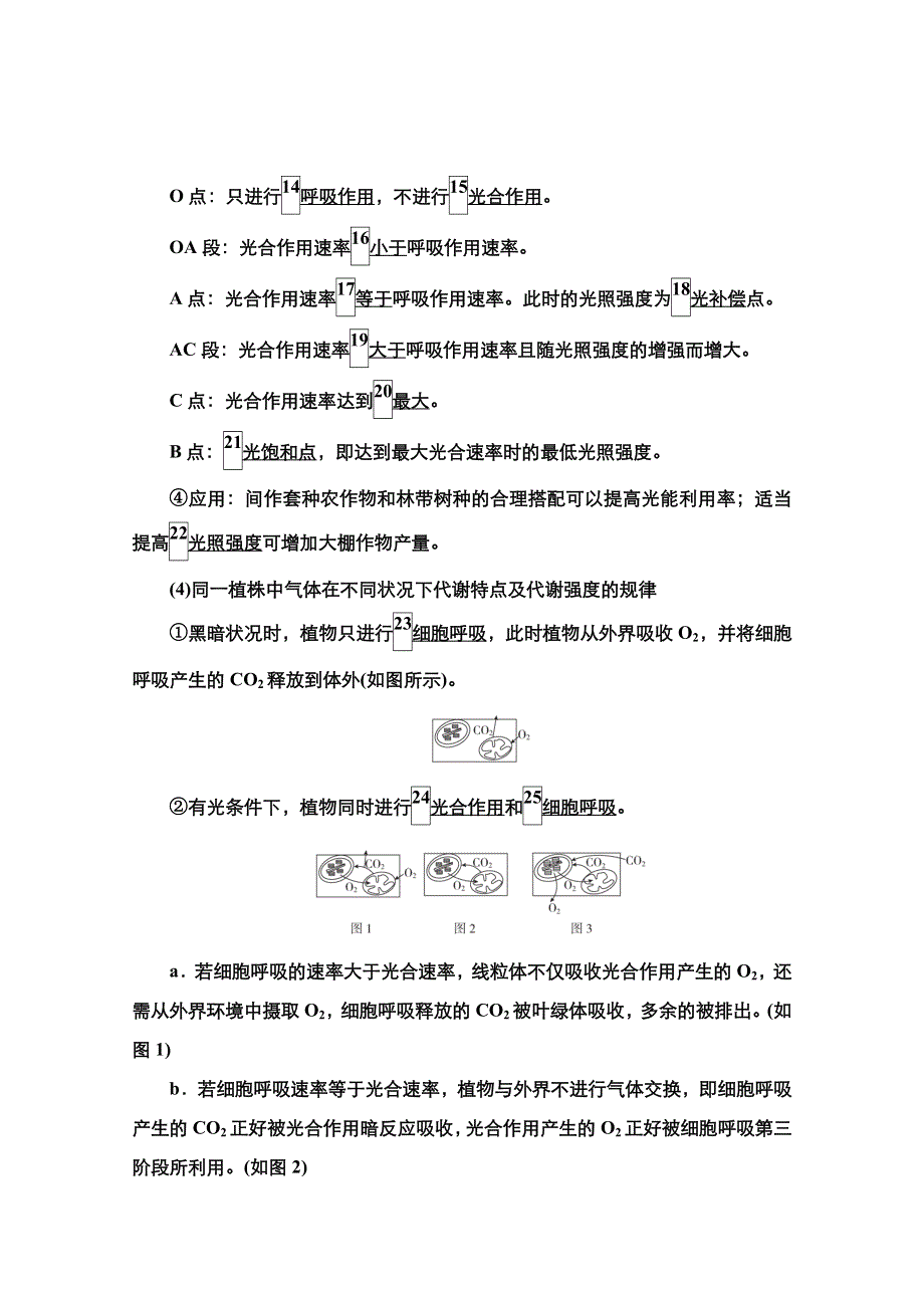 2021新高考生物选择性考试B方案一轮复习学案：第3单元　第11讲　影响光合作用速率的因素及光合作用和细胞呼吸的关系和细胞呼吸的关系 WORD版含解析.doc_第3页