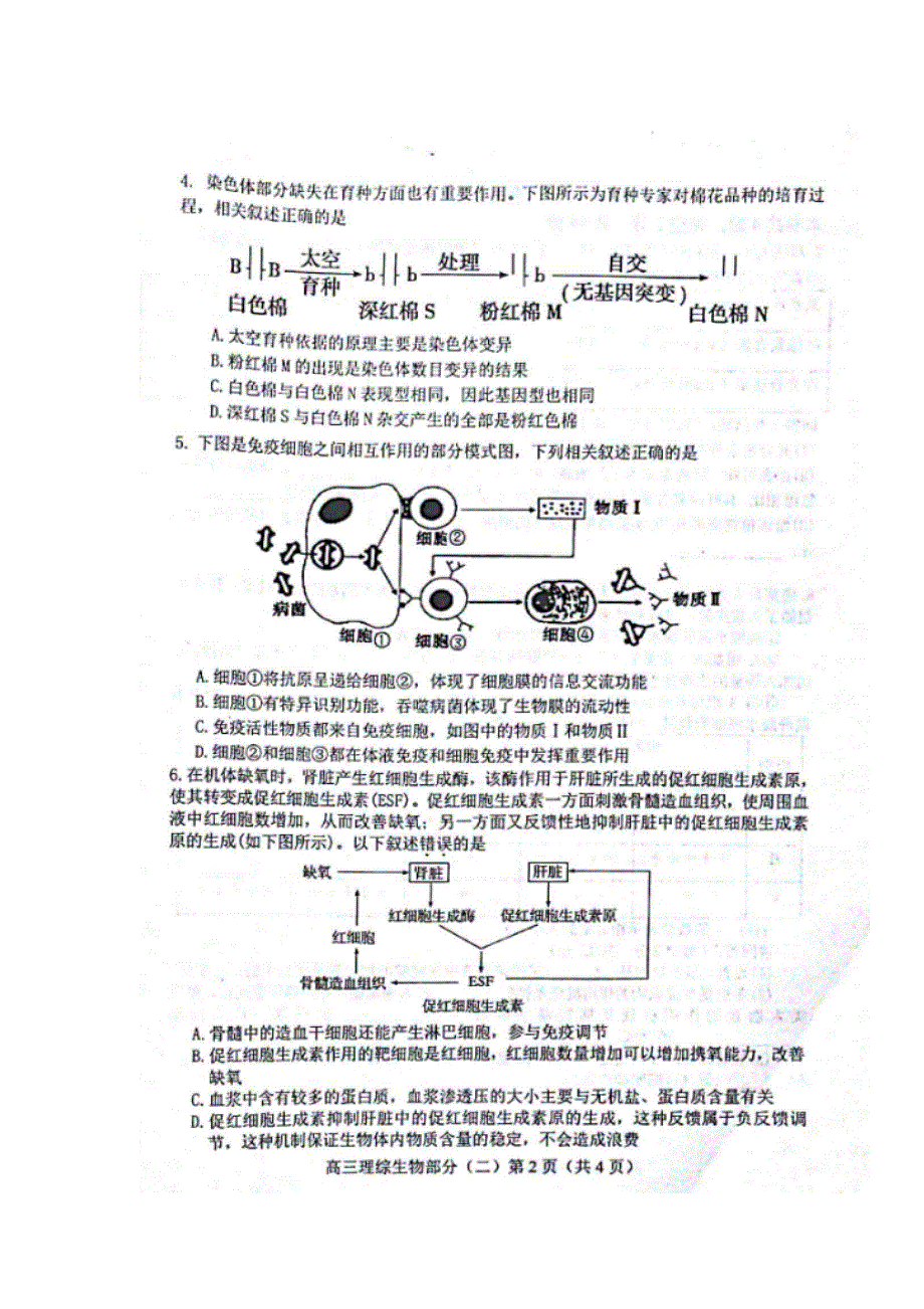 天津市河北区2017届高三总复习质量检测（二）理科综合试题 扫描版含答案.doc_第2页