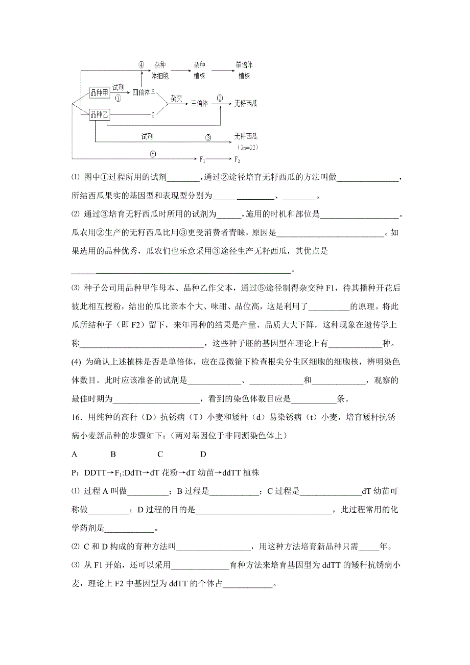 2012高一生物精品练习：5.2 染色体变异（二）（新人教版必修2）.doc_第3页