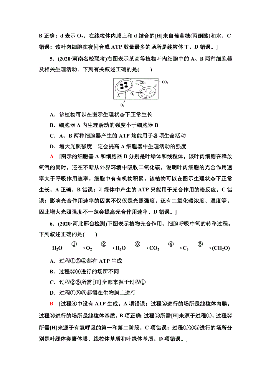 2021新高考生物（山东专用）二轮复习课后限时集训5　光合作用和细胞呼吸 WORD版含解析.doc_第3页