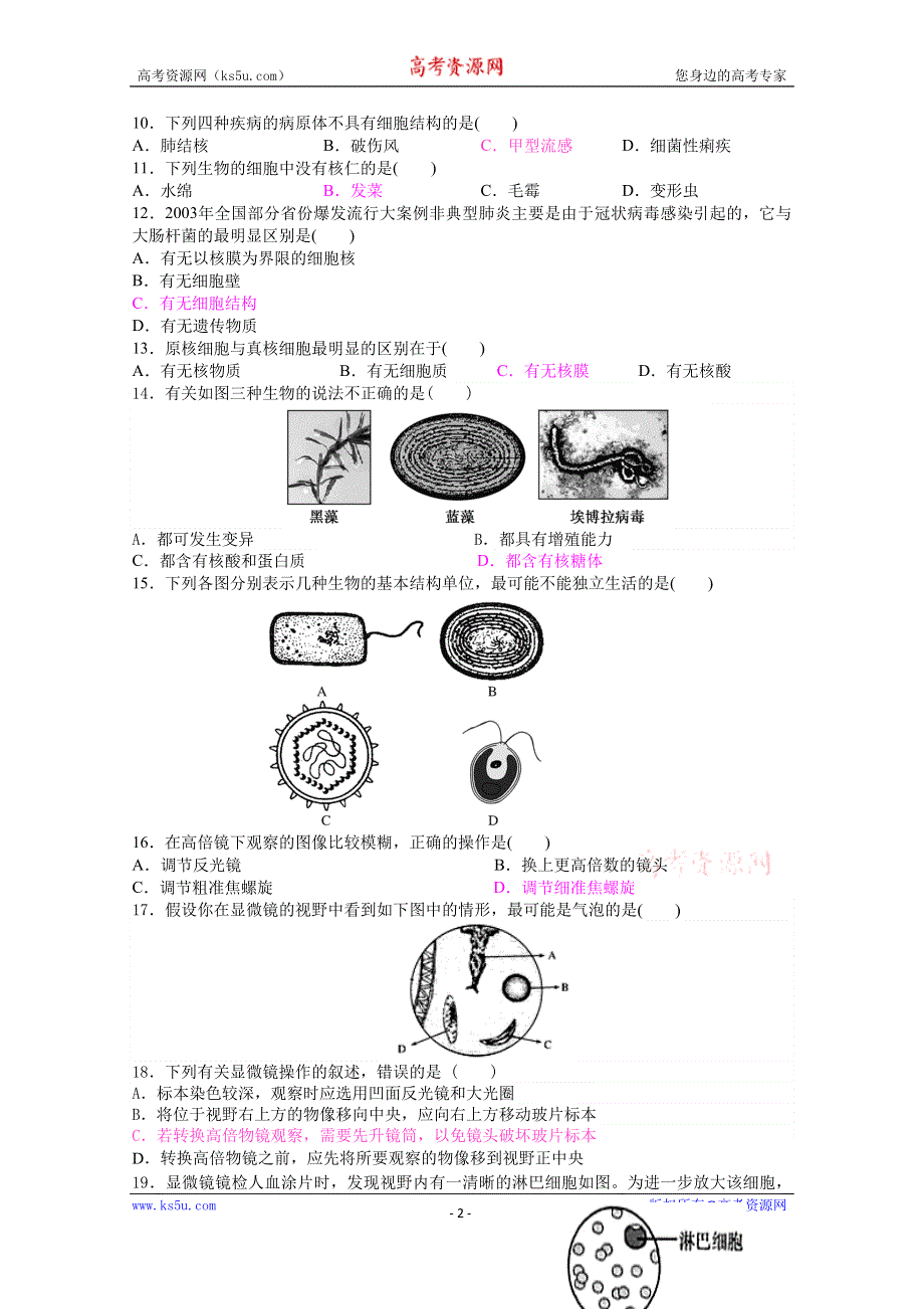 广东省深大附中2015-2016学年高一上学期期中考试生物试题 WORD版含答案.doc_第2页