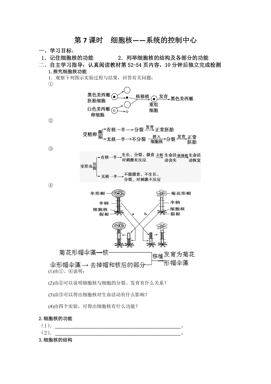 2014届高三生物一轮复习学案--- 细胞核－系统的控制中心（新人教版）.doc_第1页