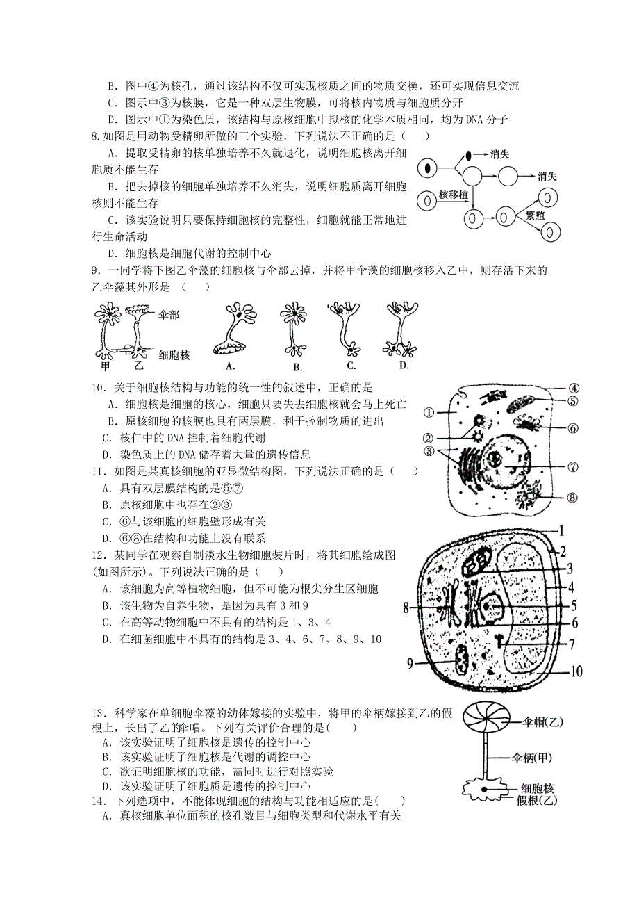 2014届高三生物一轮复习学案--- 细胞核－系统的控制中心（新人教版）.doc_第3页