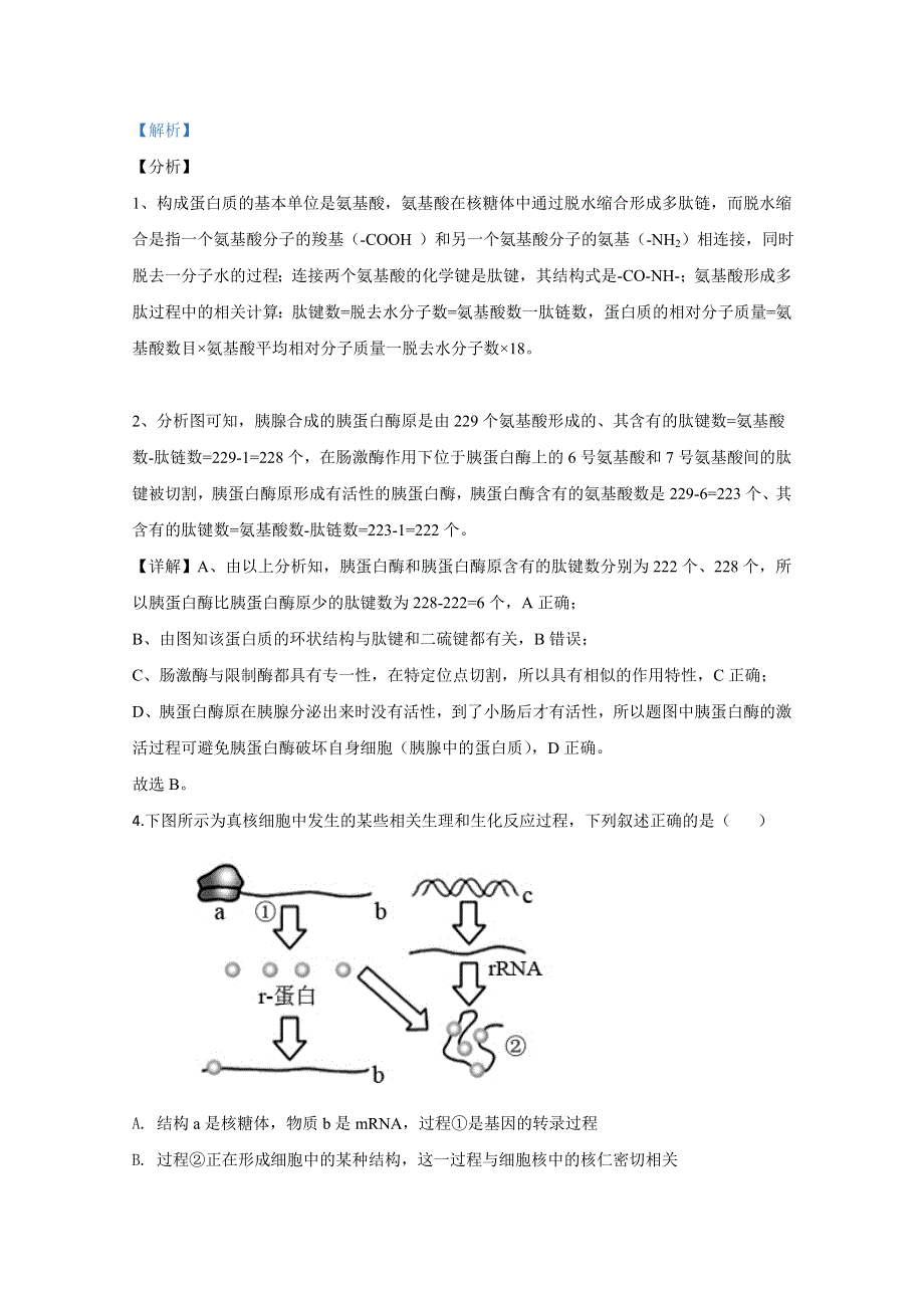 天津市河西区2020届高三总复习质量调查（一）生物试题 WORD版含解析.doc_第3页