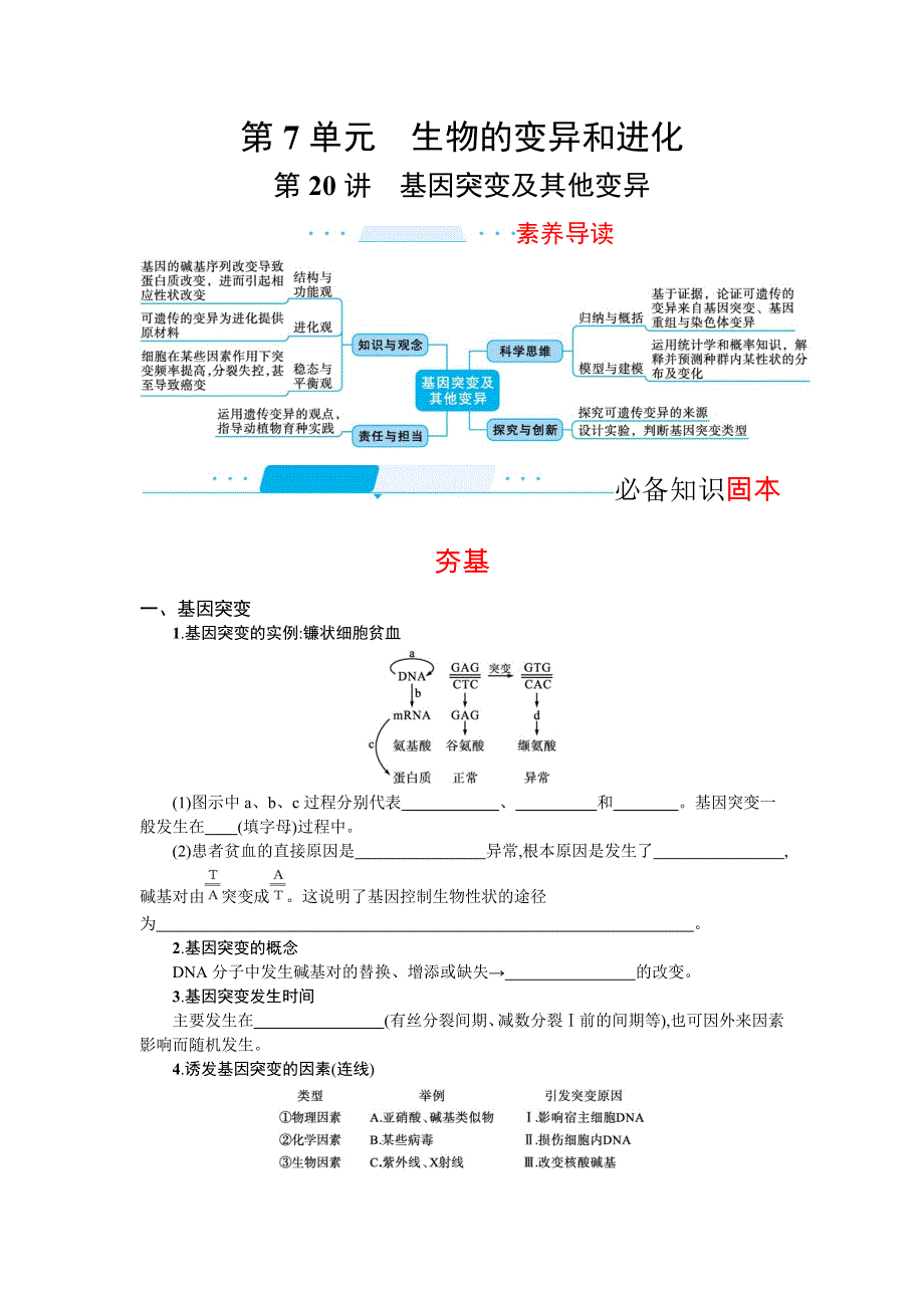 新教材2022届高考生物人教版一轮复习学案：第20讲　基因突变及其他变异 WORD版含答案.docx_第1页