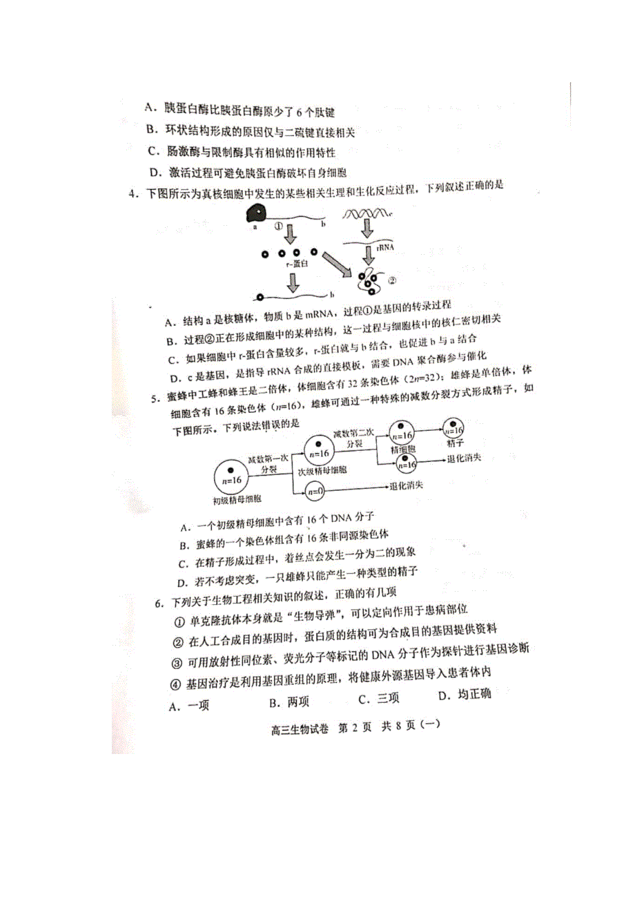 天津市河西区2020届高三总复习质量调查（一）生物试题 扫描版含答案.doc_第2页