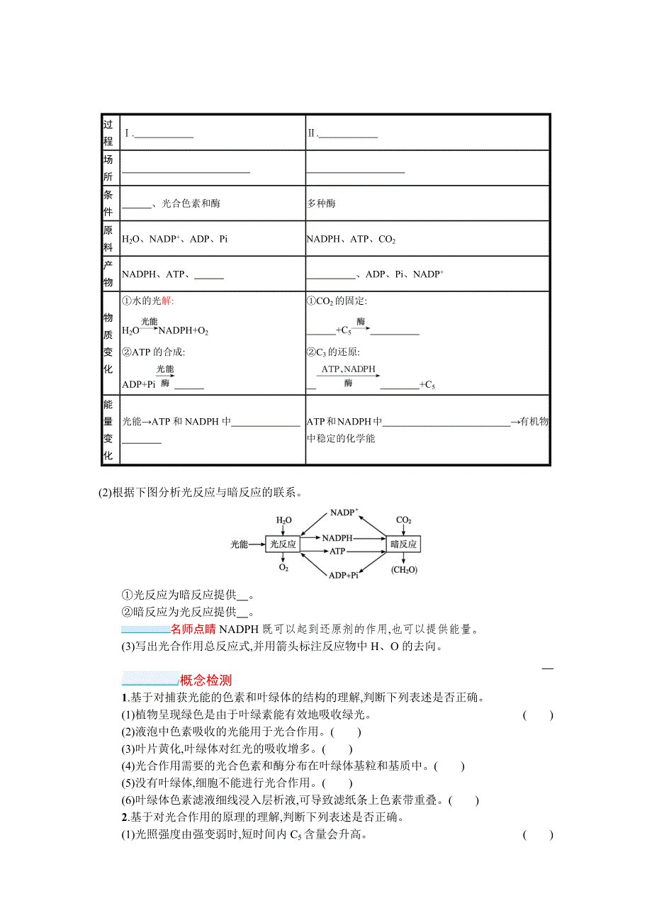 新教材2022届高考生物人教版一轮复习学案：第9讲　第1课时　光合作用的原理 WORD版含答案.docx_第3页