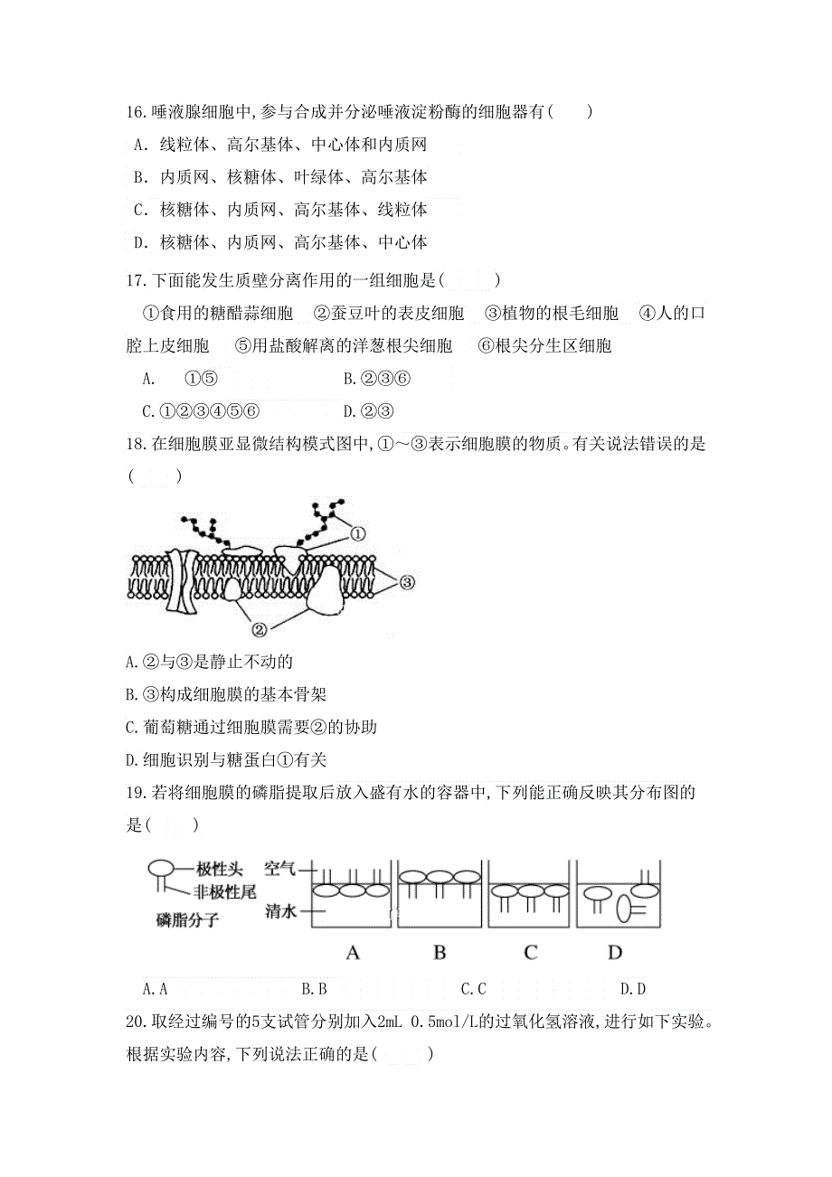 内蒙古集宁一中（西校区）2018-2019学年高一上学期期末考试生物试题 WORD版含答案.doc_第3页