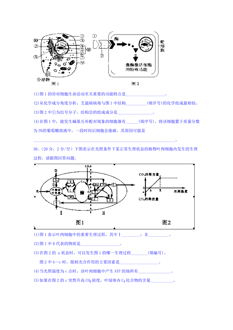 内蒙古集宁一中（西校区）2018届高三上学期期末考试理综生物试卷 WORD版含答案.doc_第3页