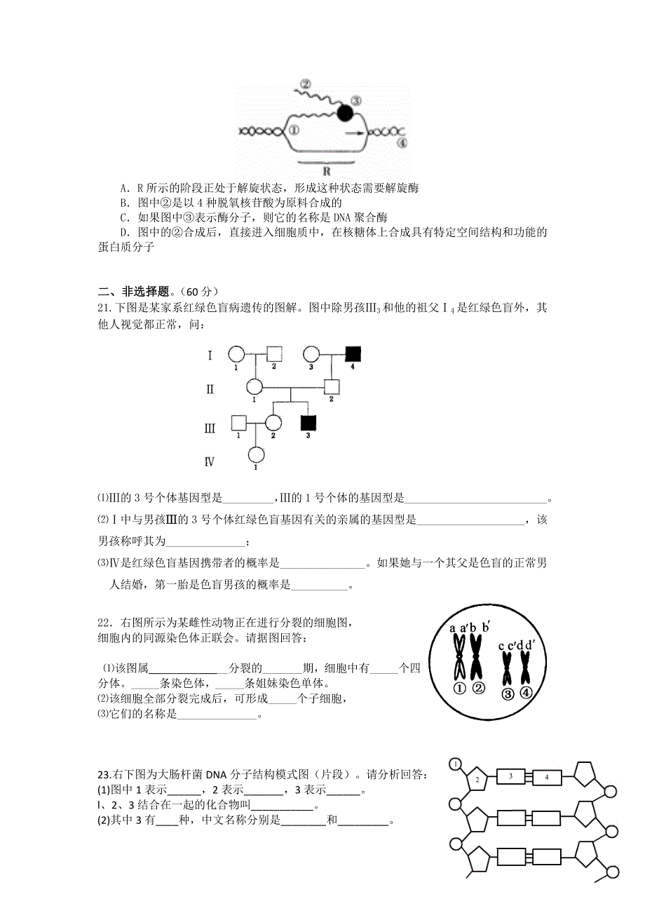 广东省清远市梓琛中学2015-2016学年高二上学期期中考试生物试题 WORD版无答案.doc_第3页