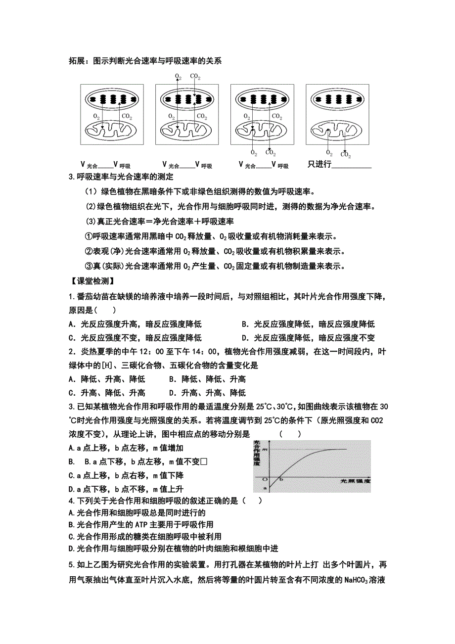 河北省临漳县第一中学高中生物必修一学案：第四节 能量之源—光与光合作用（三） .doc_第3页