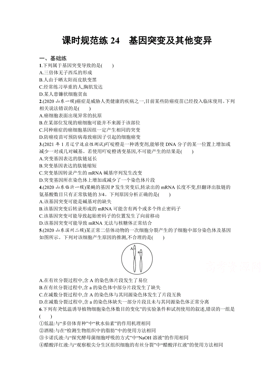 新教材2022届高考生物人教版一轮复习课时规范练24　基因突变及其他变异 WORD版含解析.docx_第1页