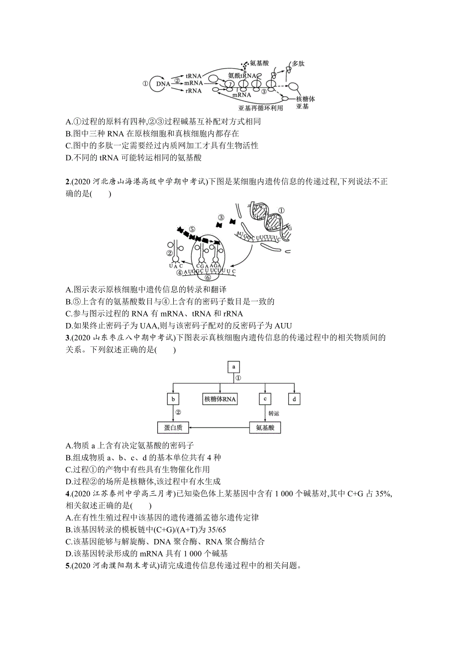 新教材2022届高考生物人教版一轮复习课时规范练17　遗传信息的转录和翻译 WORD版含解析.docx_第3页
