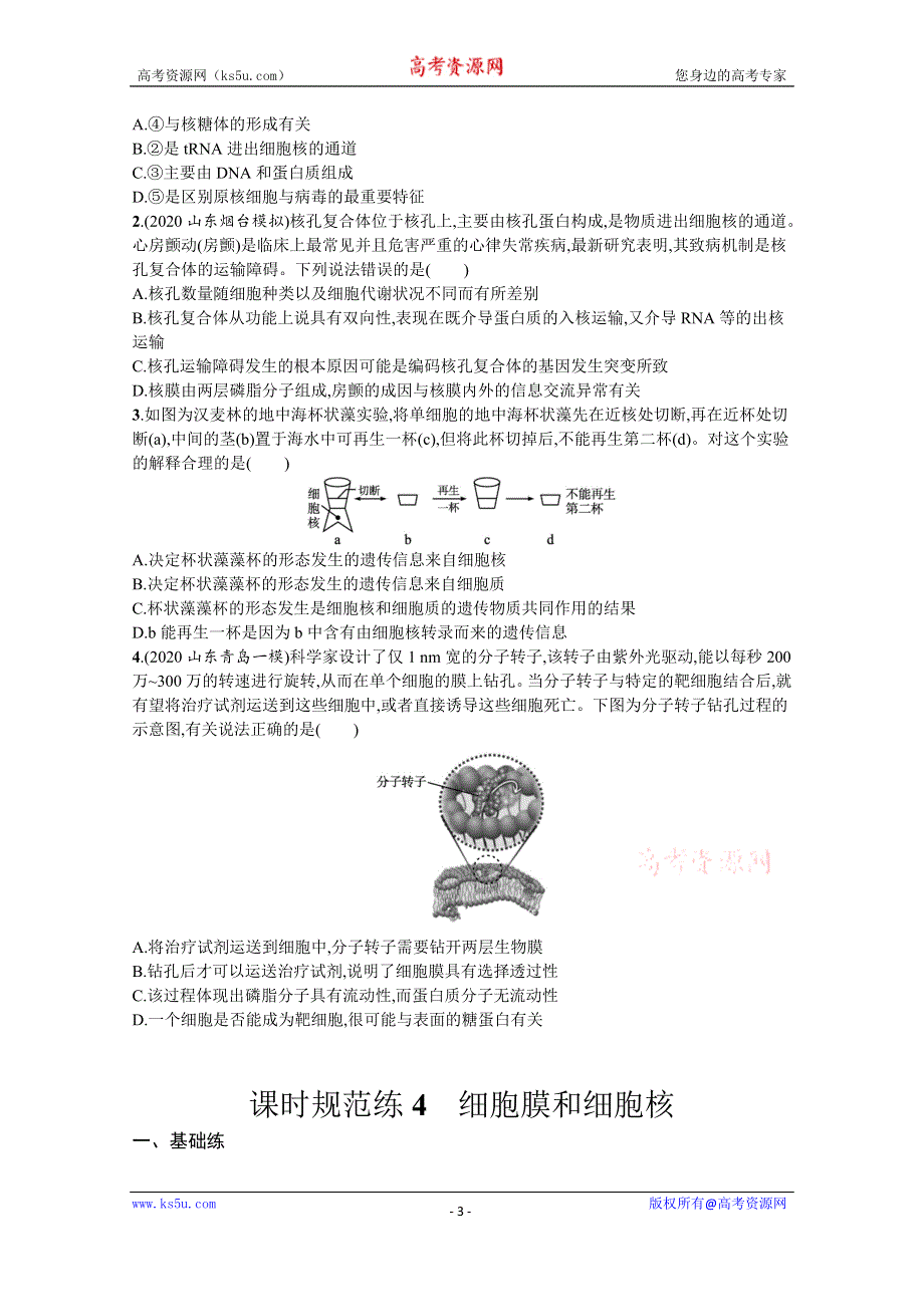 新教材2022届高考生物人教版一轮复习课时规范练4　细胞膜和细胞核 WORD版含解析.docx_第3页