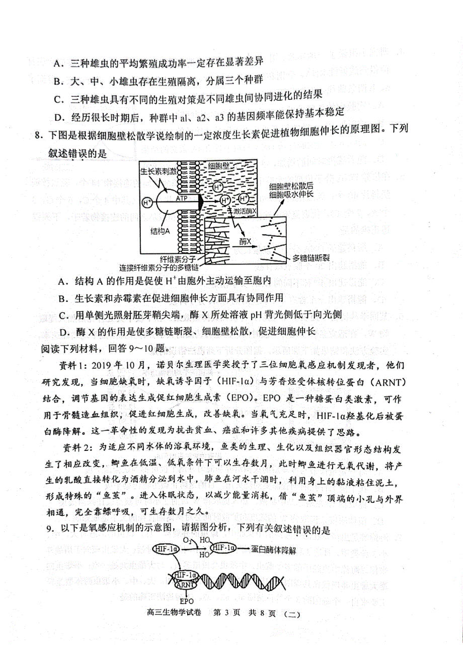 天津市河西区2022届高三下学期二模生物试卷PDF版无答案.pdf_第3页