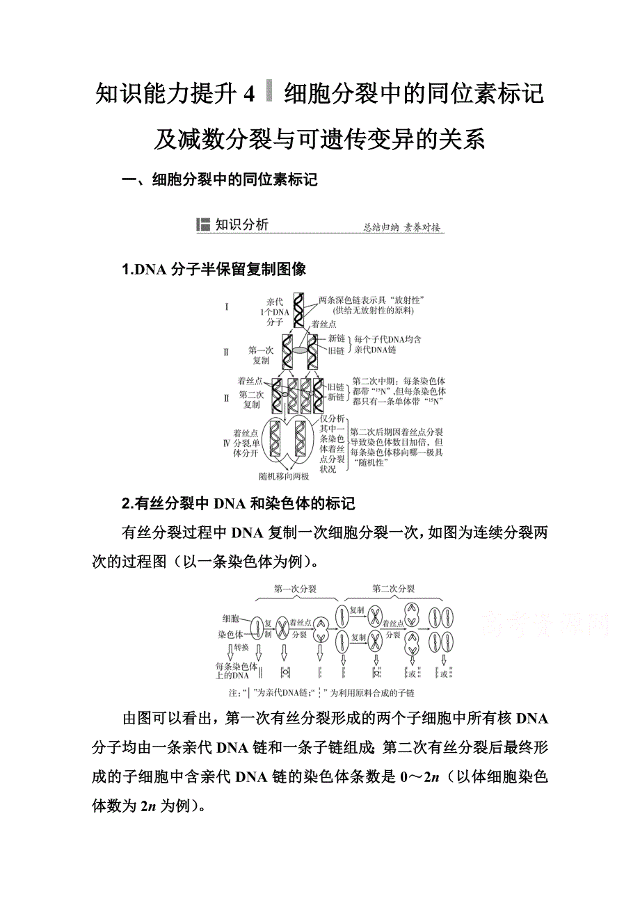 新教材2022届高考生物选择性考试一轮总复习知识能力提升4 细胞分裂中的同位素标记及减数分裂与可遗传变异的关系 WORD版含解析.doc_第1页