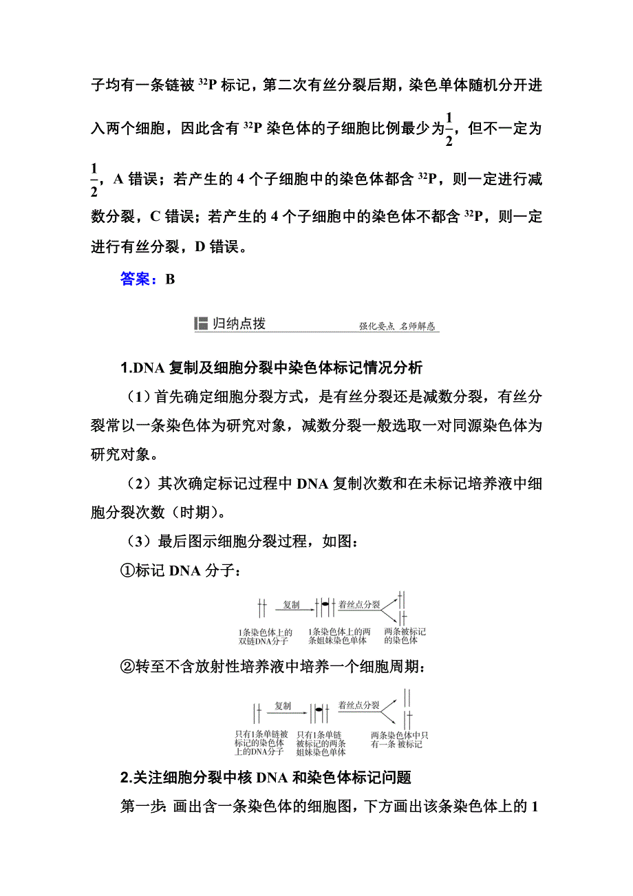 新教材2022届高考生物选择性考试一轮总复习知识能力提升4 细胞分裂中的同位素标记及减数分裂与可遗传变异的关系 WORD版含解析.doc_第3页