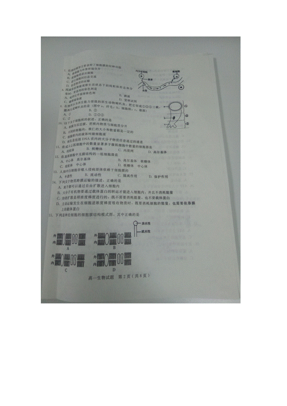 河北省临西县二中2017-2018学年高一上学期第三次联考生物试卷 扫描版含答案.doc_第2页