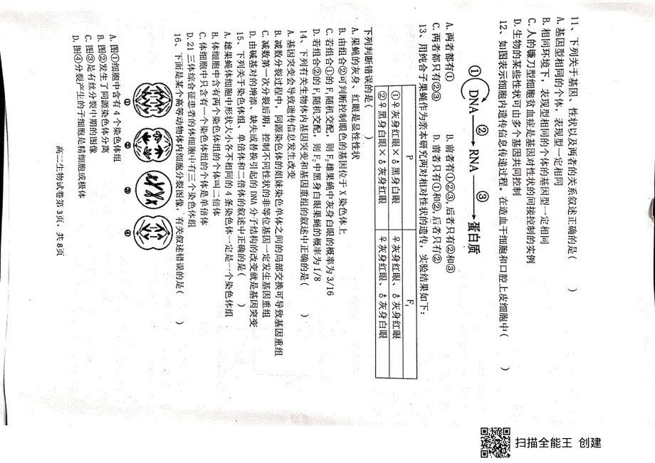 江西省赣州市十六县（市）十七校2020-2021学年高二第二学期期中联考生物试卷 扫描版含答案.pdf_第3页