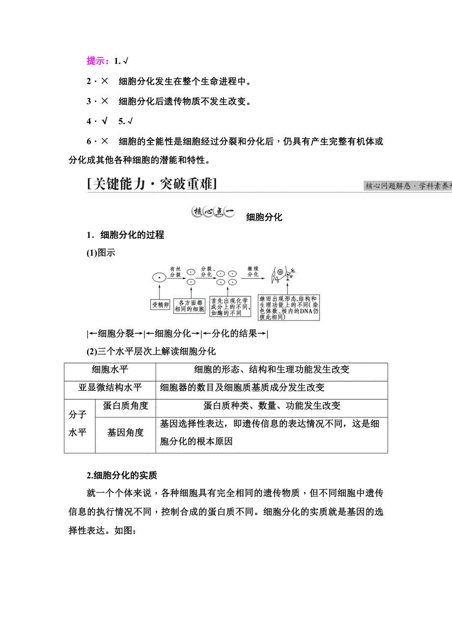 2021-2022学年新教材人教版生物必修1学案：第6章 第2节　细胞的分化 WORD版含答案.DOC_第3页