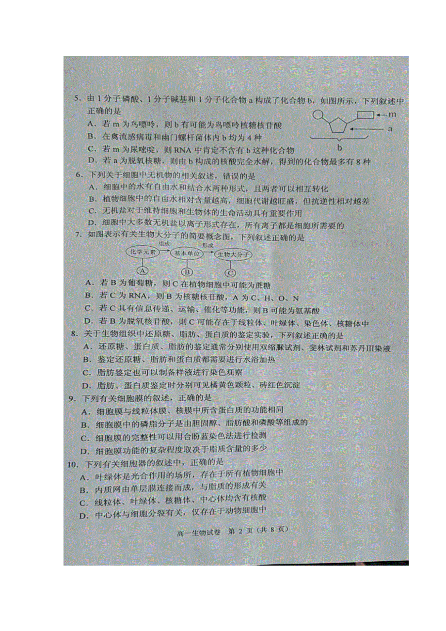 广东省清远市2018-2019学年高一上学期期末考试生物试题 扫描版含答案.doc_第3页