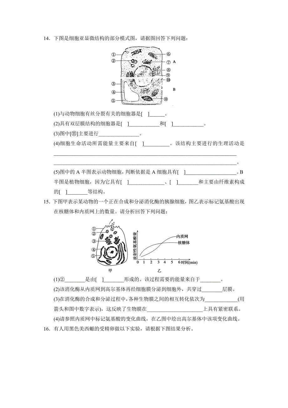 山东省烟台第二中学人教版高一生物必修一 第三章 细胞的基本结构（练习） WORD版含答案.doc_第3页