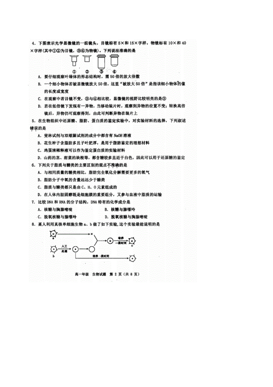 天津市河西区2019-2020学年高一上学期期末考试生物试题 PDF版含答案.pdf_第2页