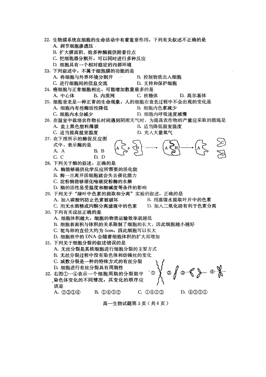 河北省保定市2013届高一第一学期期末调研生物试题及答案（高清扫描版）.doc_第3页