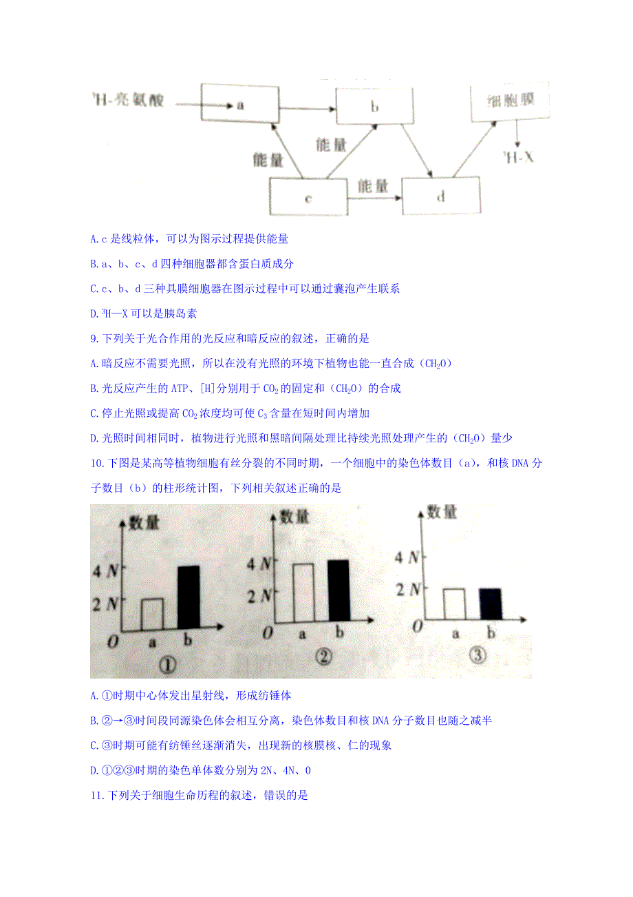 河北省保定市2017-2018学年高二下学期期末考试生物试题 WORD版含答案.doc_第3页