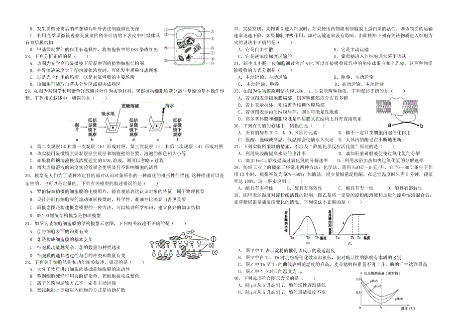 吉林省油田高级中学2019-2020学年高一上学期期中考试生物试卷 WORD版含答案.doc_第3页