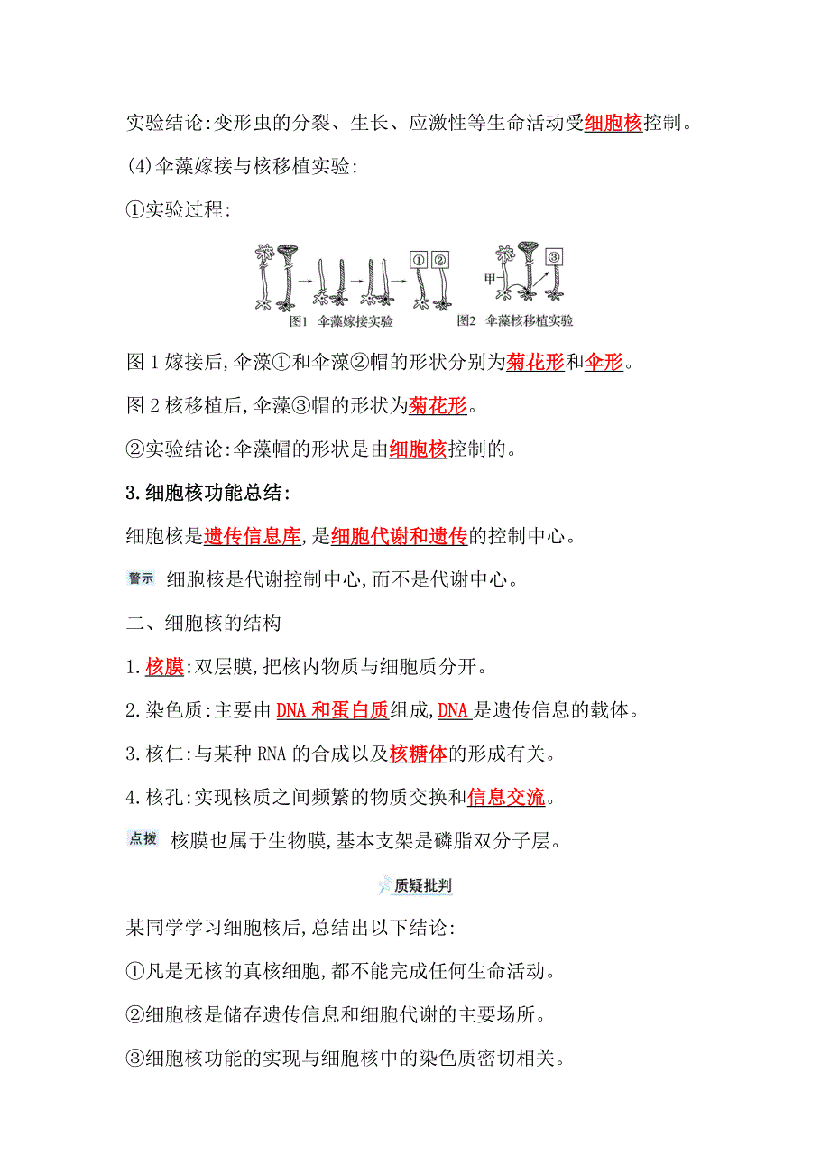 2021-2022学年新教材人教版生物必修一学案：第3章 第3节 细胞核的结构和功能 WORD版含解析.doc_第2页