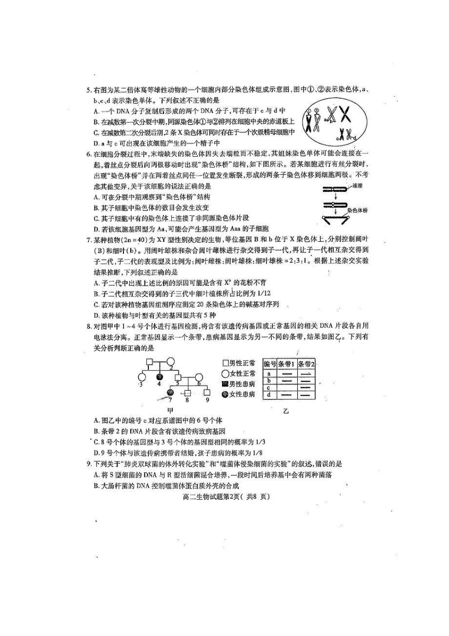 山东省聊城市九校2020-2021学年高二生物上学期第一次开学联考试题（扫描版）.doc_第2页