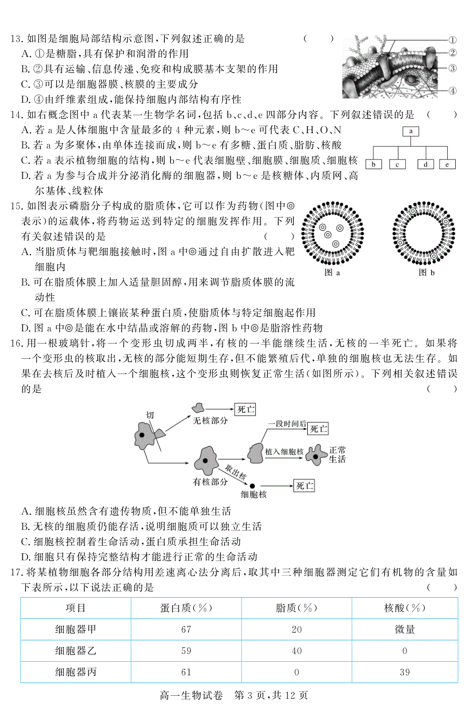 吉林省白城一中2020-2021学年高一生物上学期第二次阶段考试试题（PDF）.pdf_第3页