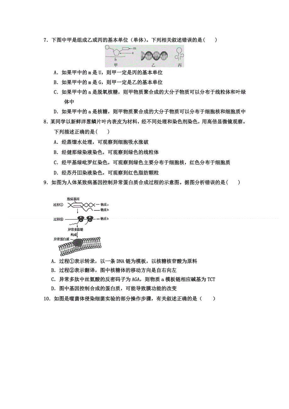 广东省湛江市第二十一中学2020-2021学年高二下学期期中考试生物试卷 WORD版含答案.doc_第2页