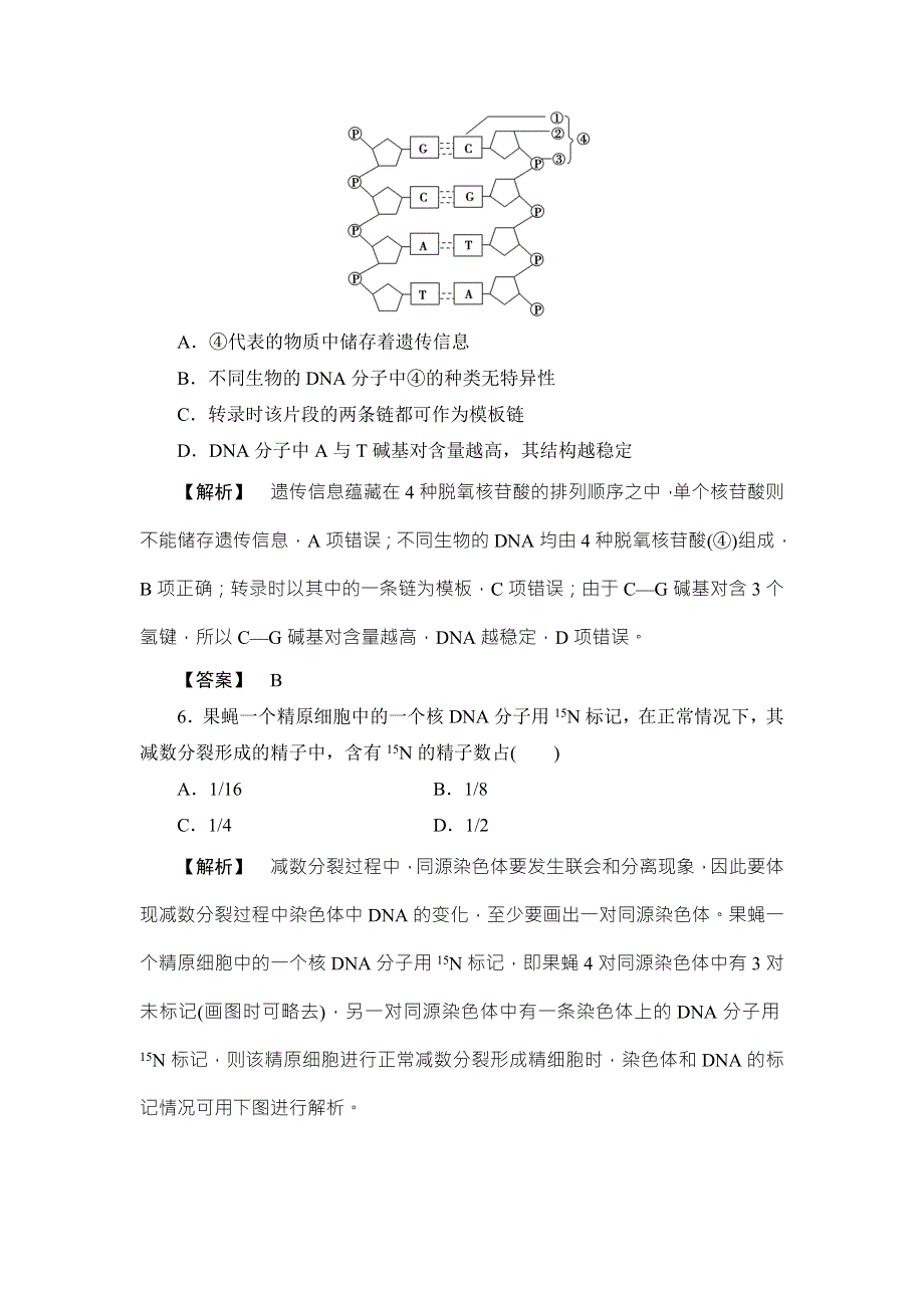 《非常考案》2017版高考生物一轮复习（通用版）分层限时跟踪练18DNA分子的结构、复制与基因的本质 WORD版含答案.doc_第3页