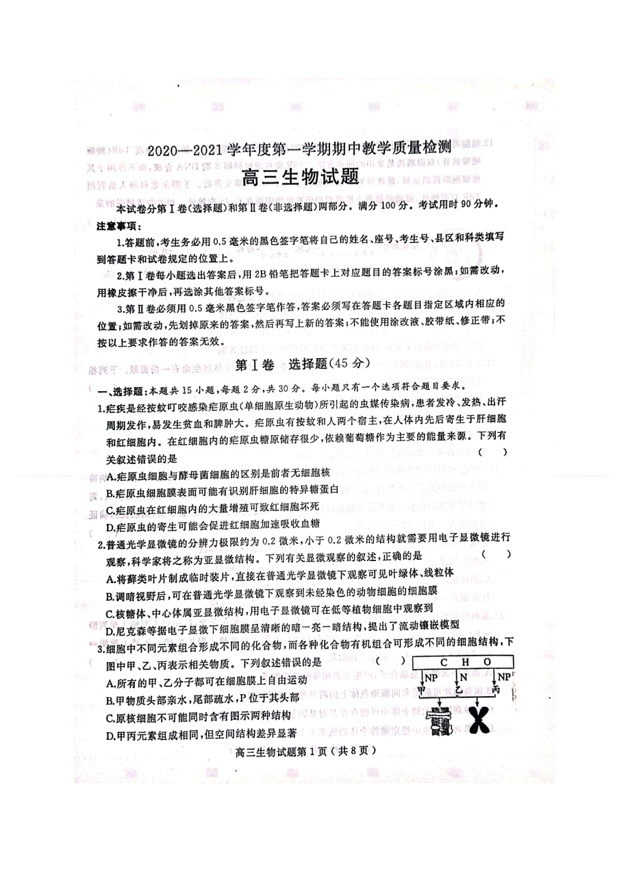 山东省聊城市2021届高三上学期期中考试生物试题 扫描版含答案.doc_第1页