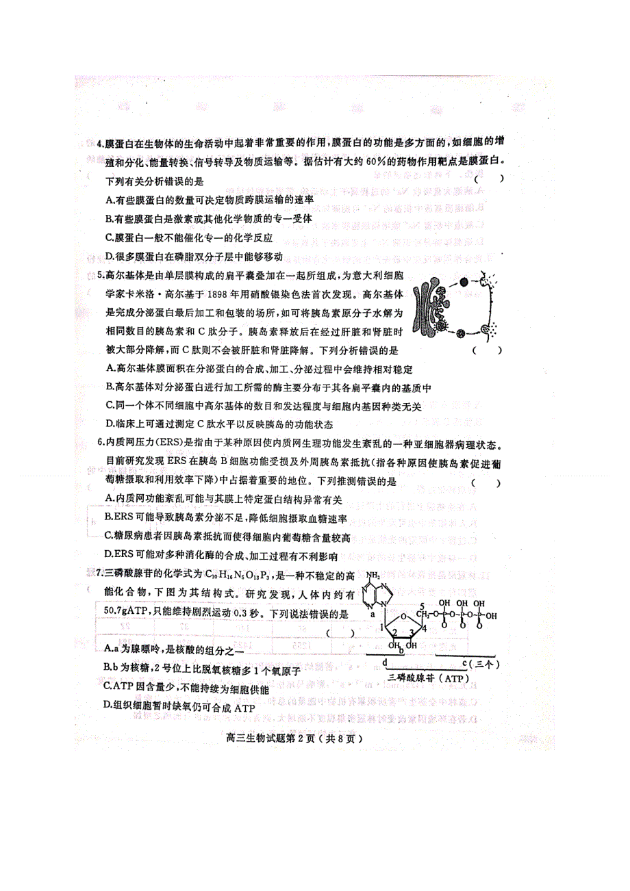 山东省聊城市2021届高三上学期期中考试生物试题 扫描版含答案.doc_第2页