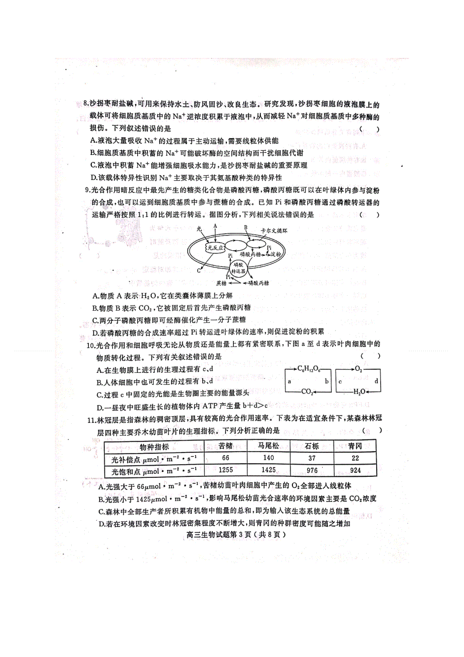 山东省聊城市2021届高三上学期期中考试生物试题 扫描版含答案.doc_第3页