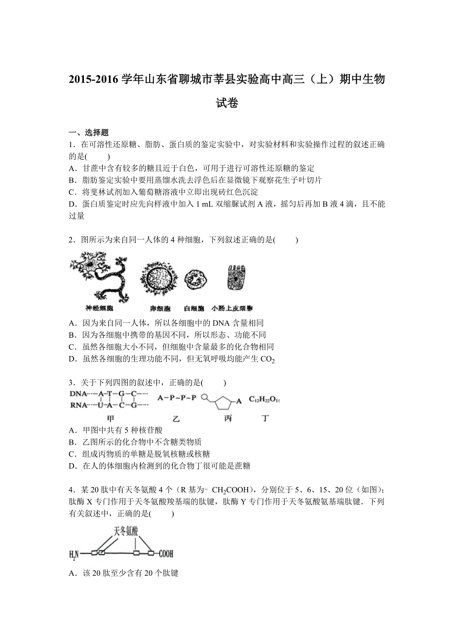 山东省聊城市莘县实验高中2016届高三上学期期中生物试卷 WORD版含解析.doc_第1页